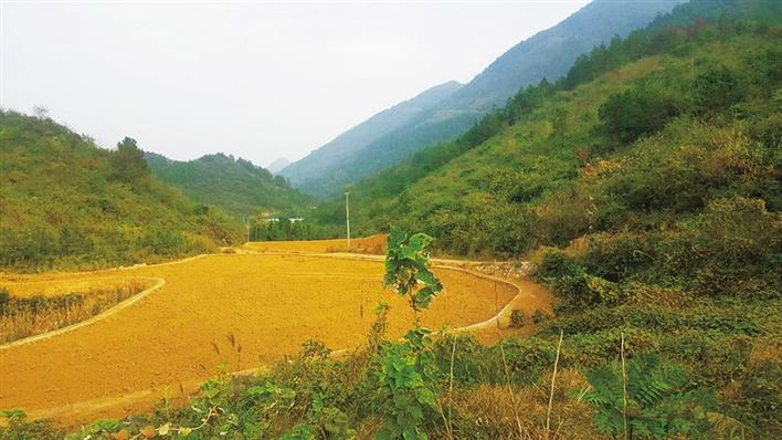 邵阳县五丰铺马草村现有人口_邵阳县塘渡口龙井村